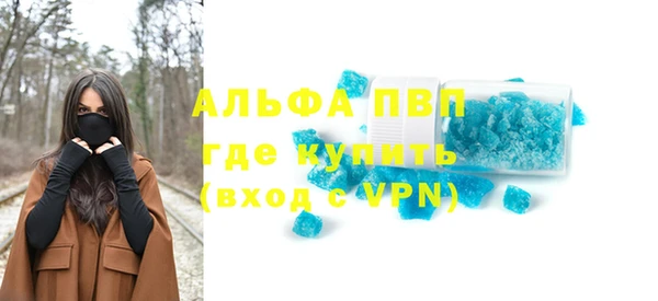 прущие крисы Бородино