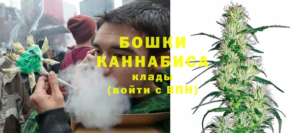 прущие крисы Бородино